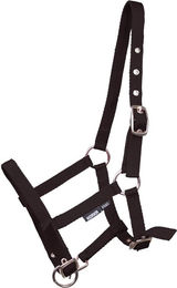 Fohlenhalfter Horka – Bild 1 von 2