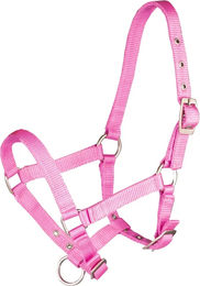 Produktbild von Fohlenhalfter Horka