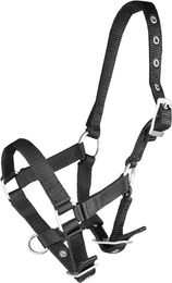 Produktbild von Fohlenhalfter Horka