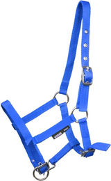 Produktbild von Fohlenhalfter Horka