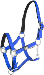 Produktbild von Fohlenhalfter mit doppelter Verstellung Supreme