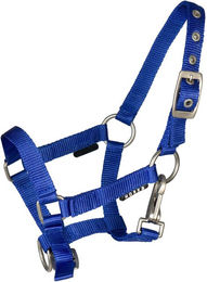 Produktbild von Fohlenhalfter mit Schnalle Horka