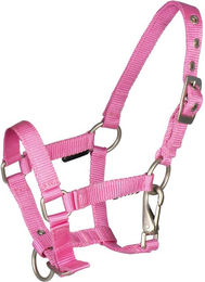 Produktbild von Fohlenhalfter mit Schnalle Horka