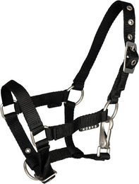 Produktbild von Fohlenhalfter mit Schnalle Horka