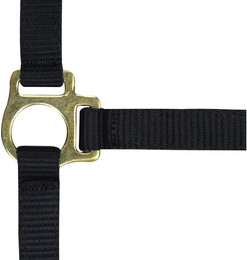 Produktbild von Fohlenhalfter mit verstellbarem Nasen- und Genickriemen