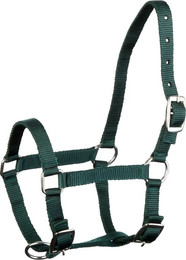 Produktbild von Fohlenhalfter silberfarbene Beschläge