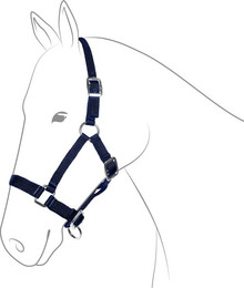 Produktbild von Fohlenhalfter silberfarbene Beschläge