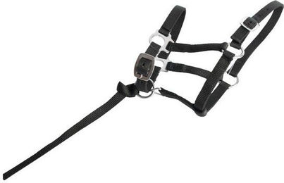 Produktbild von Fohlenhalfter T de T