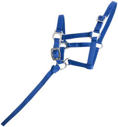 Produktbild von Fohlenhalfter T de T