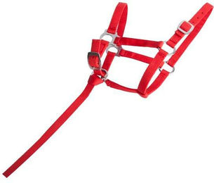 Produktbild von Fohlenhalfter T de T