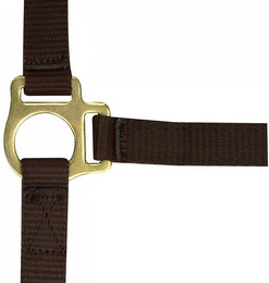 Produktbild von Fohlenhalfter und Longiergurt Norton