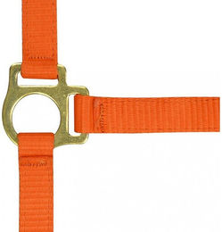 Produktbild von Fohlenhalfter und Longiergurt Norton