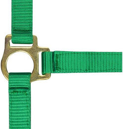 Produktbild von Fohlenhalfter und Longiergurt Norton