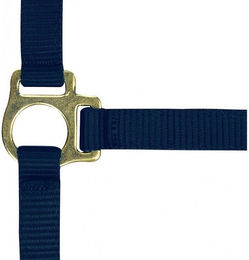 Produktbild von Fohlenhalfter und Longiergurt Norton