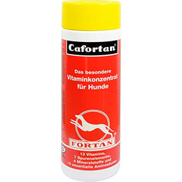 Produktbild von Fortan Cafortan Multivitamintabletten - 600 x 0,5 g