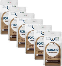 Produktbild von Forza 10 Active Line Intestinal Colon Fisch - 6 x 400 g