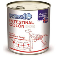 Produktbild von Forza 10 Intestinal Colon Nassfutter für Hunde - 24 x 390 g