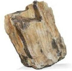 Produktbild von Fossiles Holz S1 Aquavie