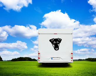 Produktbild von Foxterrier Glatthaar Kopf Wohnmobil Aufkleber