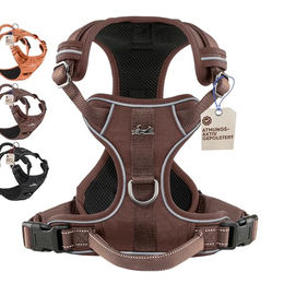 Freudentier Hundegeschirr mit atmungsaktiver Mesh-Polsterung und Anti-Zug Funktion – Bild 1 von 7