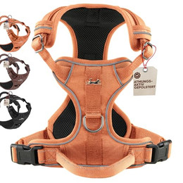 Produktbild von FREUDENTIER Hundegeschirr mit Mesh-Polsterung