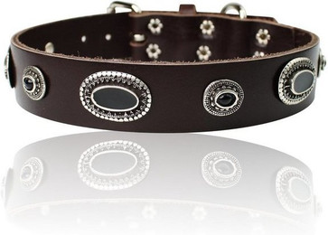 Produktbild von FRONHOFER Hunde-Halsband 18862 aus Ökoleder 3 cm mit schwarzen Zierteilen