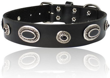 Produktbild von FRONHOFER Hunde-Halsband 18862 Ökoleder 3 cm mit schwarzen Zierteilen