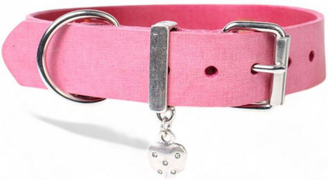 Produktbild von FRONHOFER Hunde-Halsband 19281, Ökoleder, schlichtes Leder Hundehalsband sehr robustes Halsband aus echtem Leder