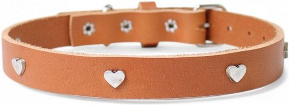 Produktbild von FRONHOFER Hunde-Halsband 19336 aus Ökoleder 2 cm