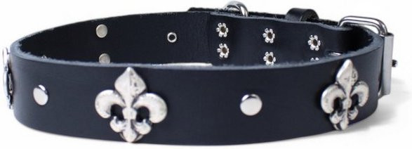 Produktbild von FRONHOFER Hunde-Halsband Echtleder mit französischer Lilie