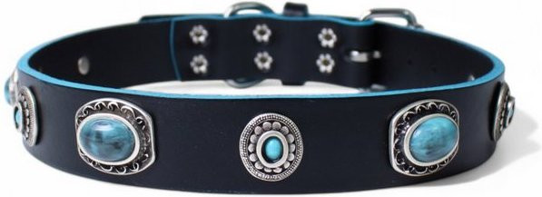 Produktbild von FRONHOFER Hunde-Halsband Ökoleder mit Nieten und türkisen Zierteilen