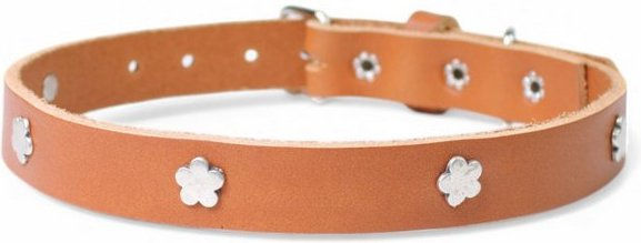 Produktbild von FRONHOFER Hunde-Halsband Ökoleder schlicht