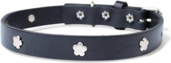 Produktbild von FRONHOFER Hunde-Halsband Ökoleder schlicht