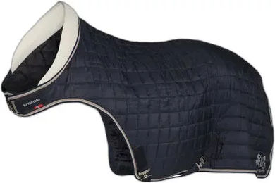 Produktbild von Führanlagendecke B Vertigo Mason