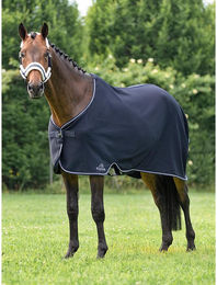 Produktbild von Führanlagendecke Equiline Climate Control