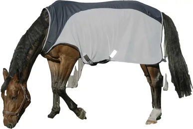 Produktbild von Führzügeldecke für Pferde Equithème Equithème Flycool