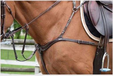 Produktbild von Fünf-Punkte-Jagdhalsband und Martingal für Pferde Jump'In