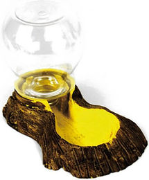 Futterstelle für Schildkröten Reptiles Planet – Bild 1 von 7