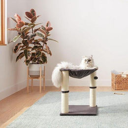 Famanu Kratzbaum für Katzen mit Plüsch in Grau – Bild 1 von 1