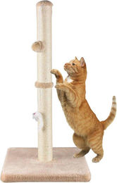 Famanu Kratzbaum für Katzen mit Sisal und hängendem Ball in Beige 123 cm – Bild 1 von 1