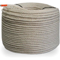 Produktbild von Famanu Sisaltau 8mm Natur Beige für Kratzbaum-Reparatur und Bastelarbeiten
