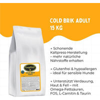 Produktbild von FangGold Cold Brik Adult Hundefutter Lachs Kaltgepresst Glutenfrei und GVO-frei 15 kg