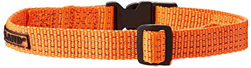 Farm-Land Hundehalsband aus Softnylon in Signalorange mit reflektierendem Streifen und Schnellverschluss, verstellbar 30-45 cm – Bild 1 von 2