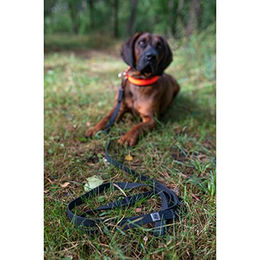 Farm-Land Schleppleine für Hunde aus Biothane in Orange wasserfest 2,4 m - 2,4 m – Bild 1 von 2