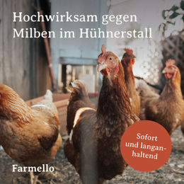 Farmello Anti Milbenspray für Hühner 1l – Bild 1 von 3
