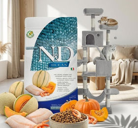 Farmina N&D Ocean Kitten Katzenfutter Kabeljau 1,5 kg glutenfrei und Kratzbaum Grau 206 cm mit Höhlen und Hängematte – Bild 1 von 1