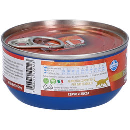 Farmina N&D Pumpkin Nassfutter Katze Adult Getreidefrei und Glutenfrei 80g - 80 g – Bild 1 von 2