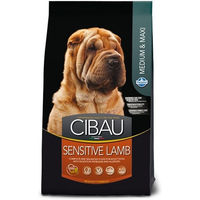 Produktbild von Farmina Pet Food Sensitive Lamb Hundefutter Adult Lamm & Fisch Hypoallergen 14 kg - 14 kg