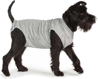 Fashion Dog Cura Pets OP- und Gesundheits-Body für Hunde und Katzen aus Bio-Baumwolle in Grau – Bild 1 von 2