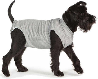 Fashion Dog Cura Pets OP- und Gesundheits-Body für Hunde und Katzen aus Bio-Baumwolle in Grau – Bild 1 von 3